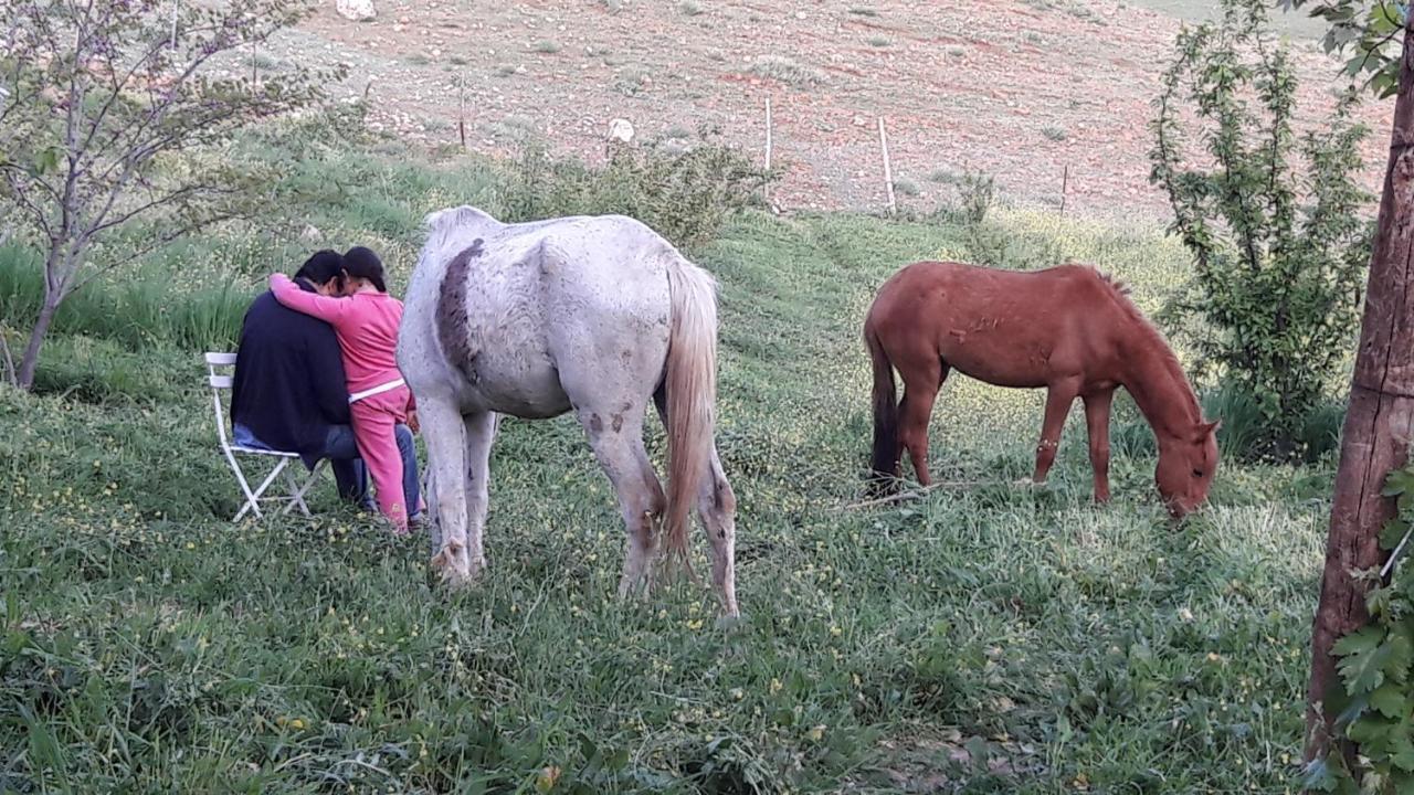 מלון Le Chene D'אזרו מראה חיצוני תמונה