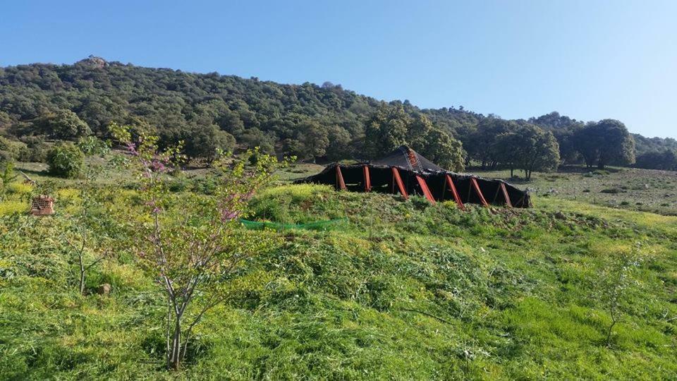 מלון Le Chene D'אזרו מראה חיצוני תמונה